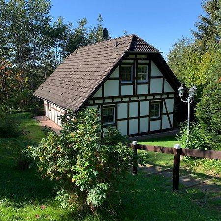 Die Kleine Ferienvilla Edersee Frankenau ภายนอก รูปภาพ